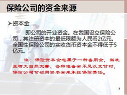 保險公司的資金運用與投資管理